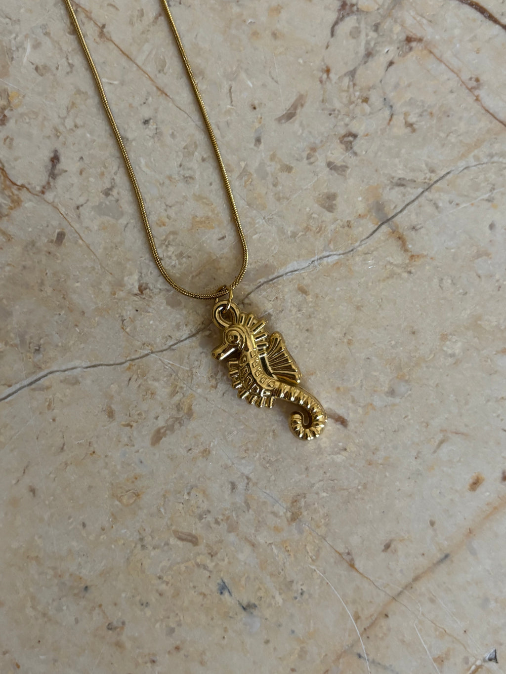 Seahorse
