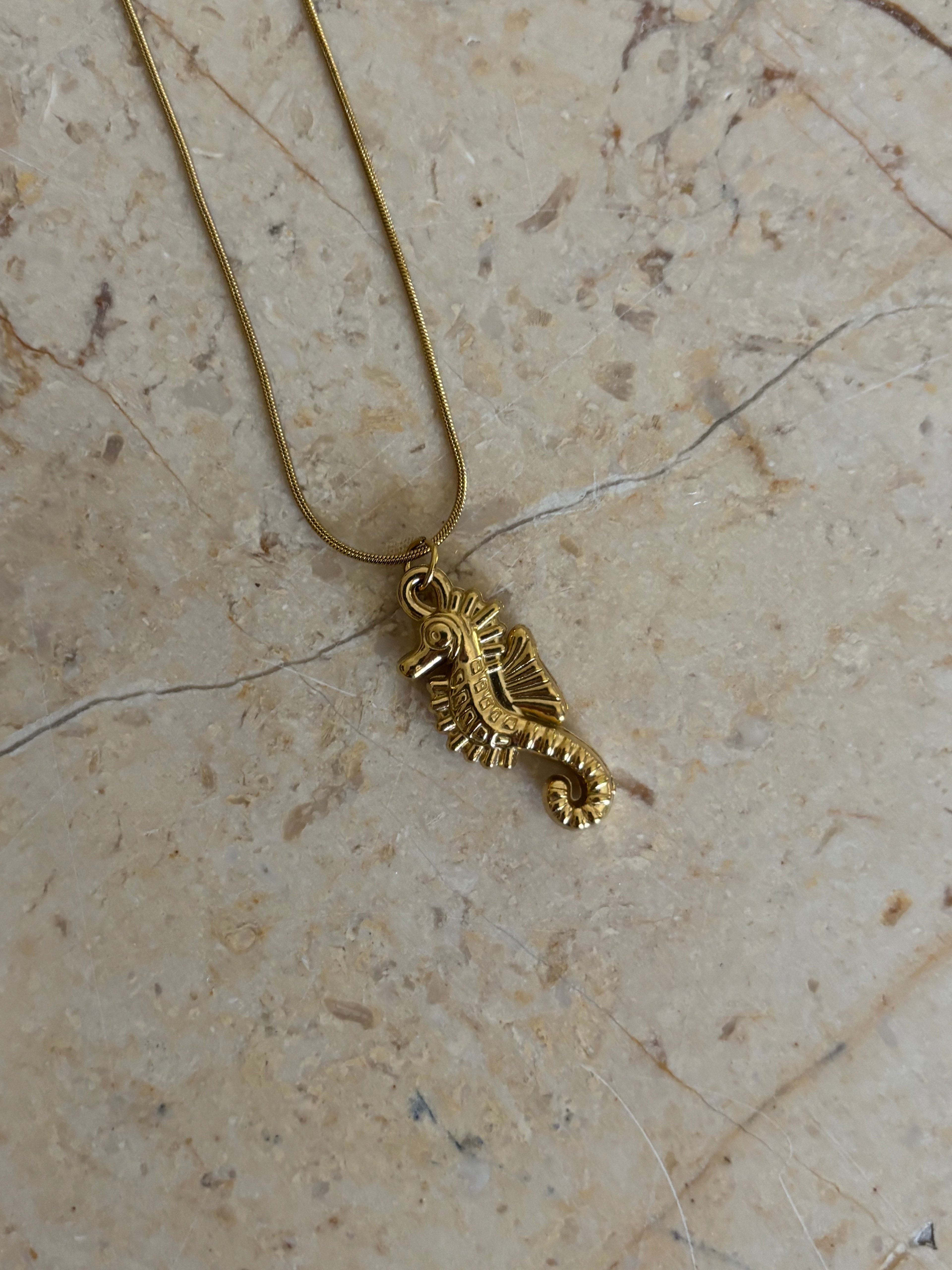 Seahorse