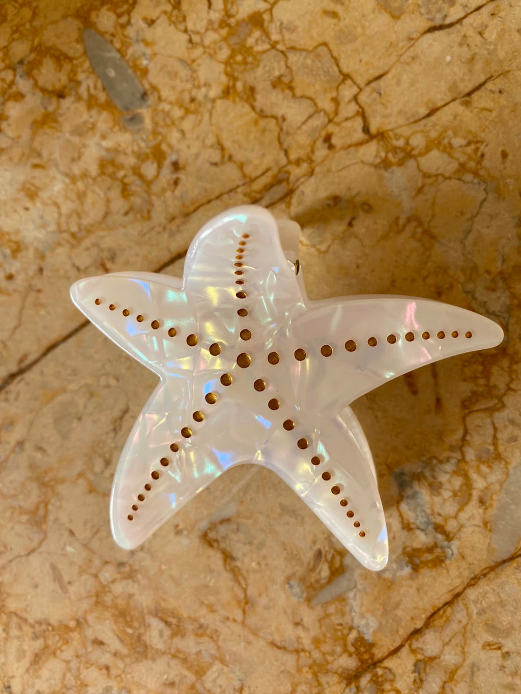 CORAL SHELL
