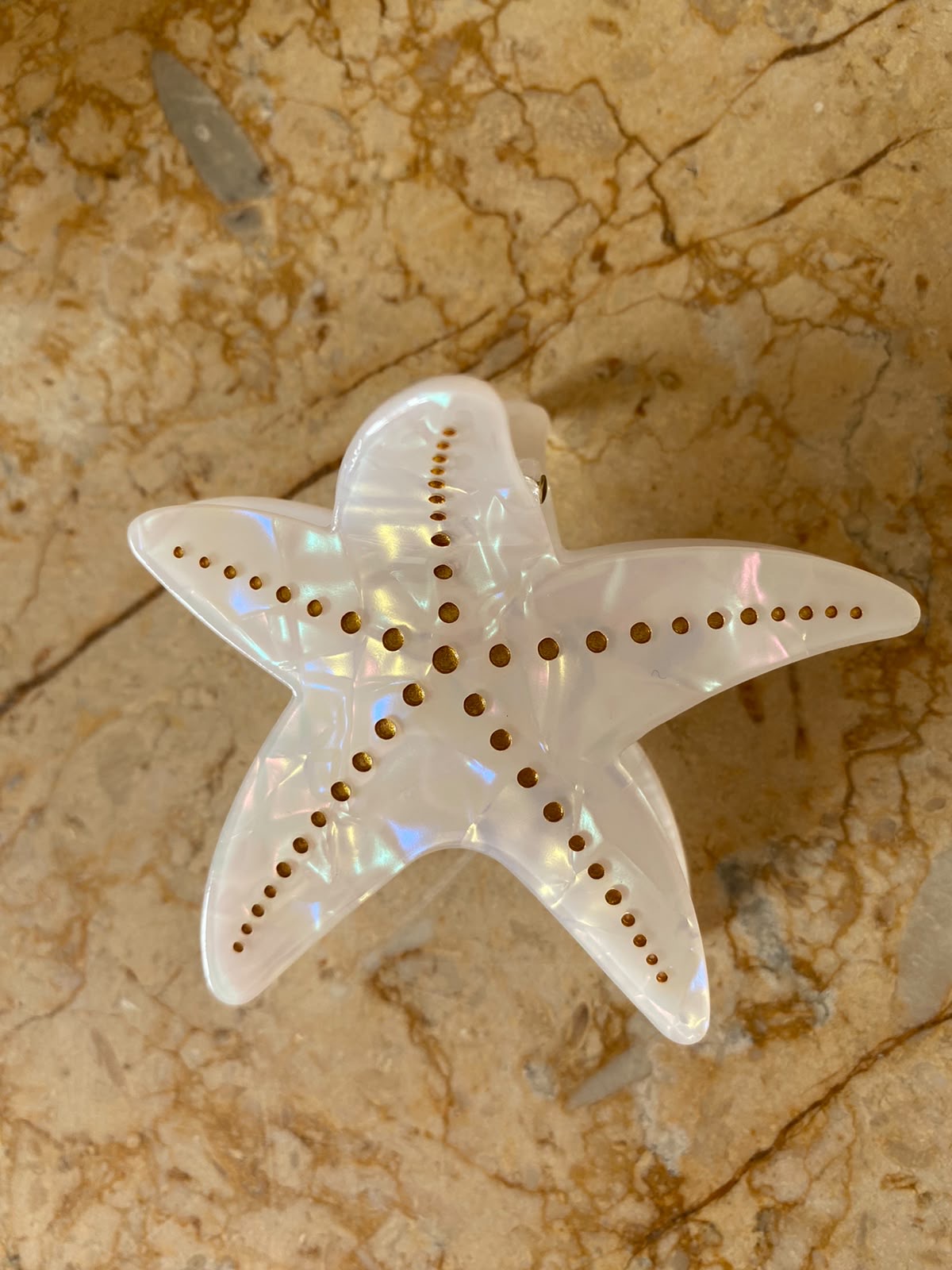 CORAL SHELL