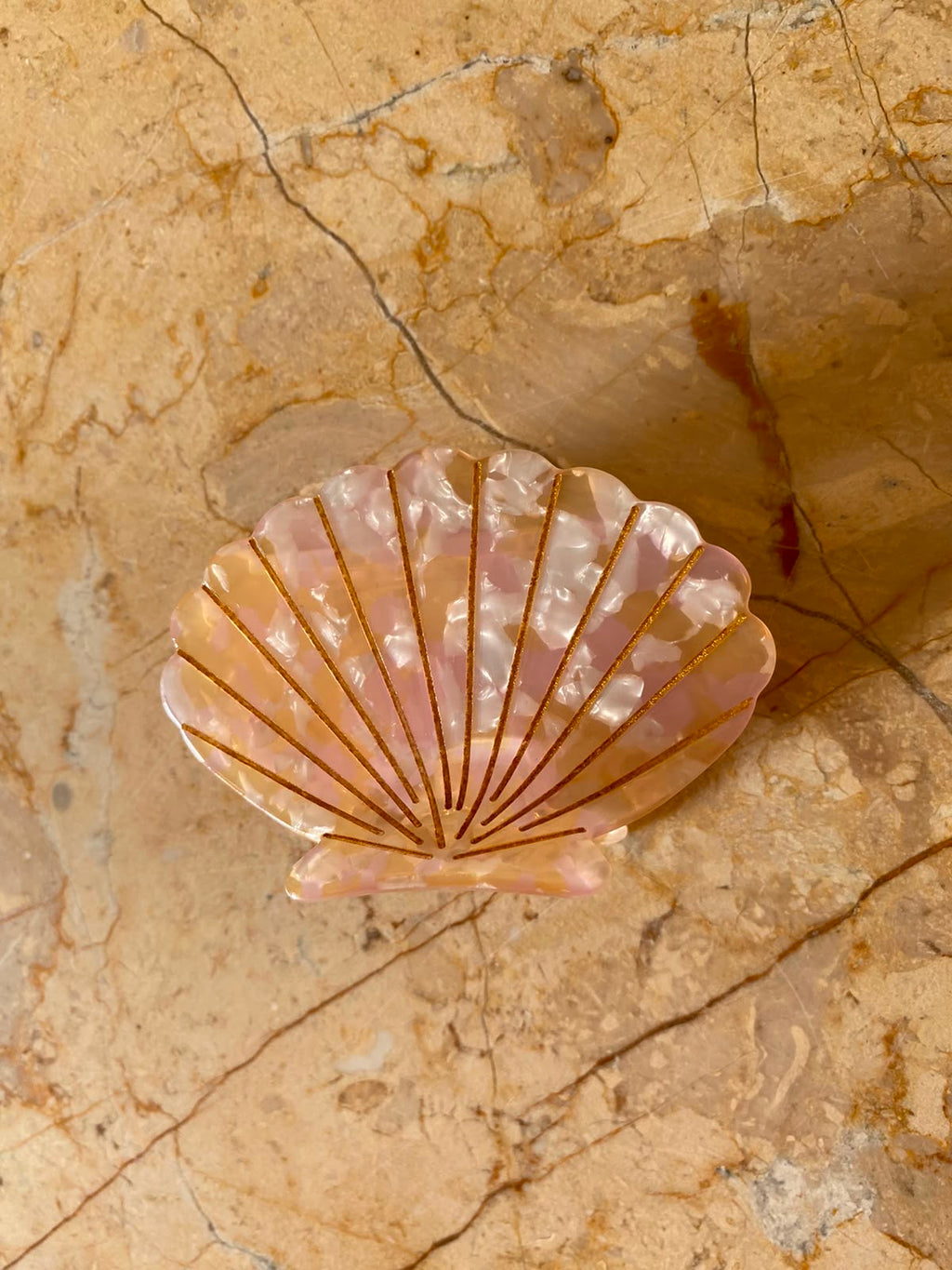 Tulip Shell