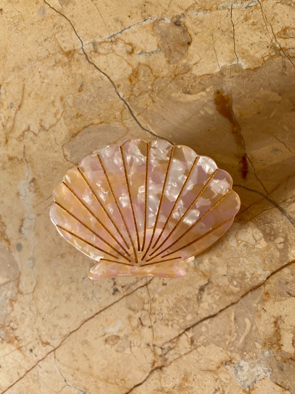 Tulip Shell