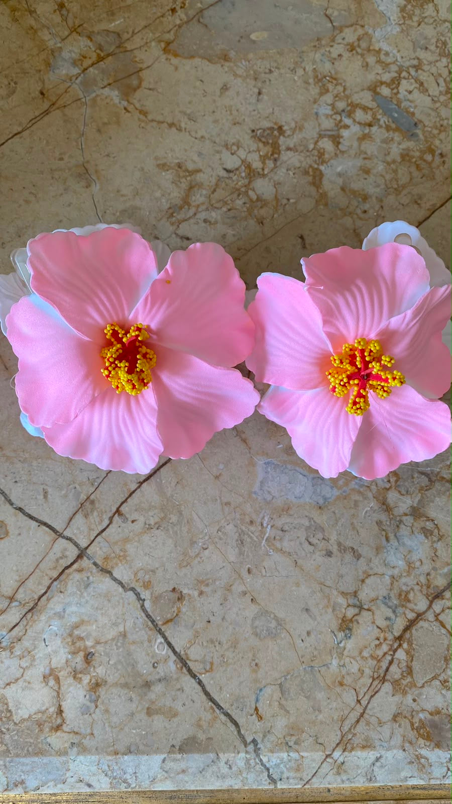 lilypad