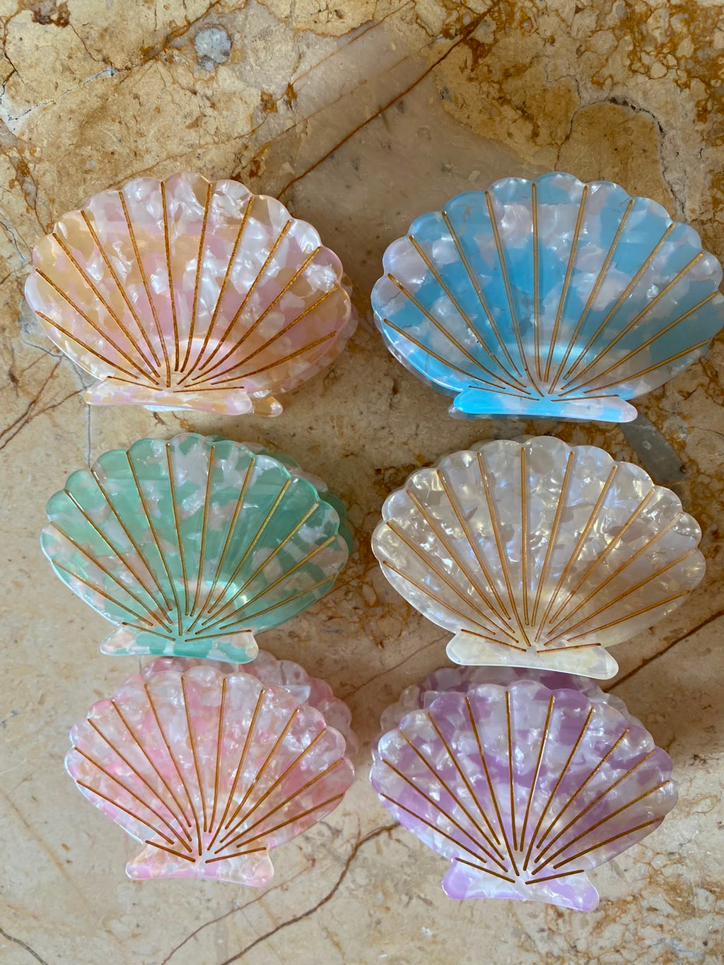 Tulip Shell