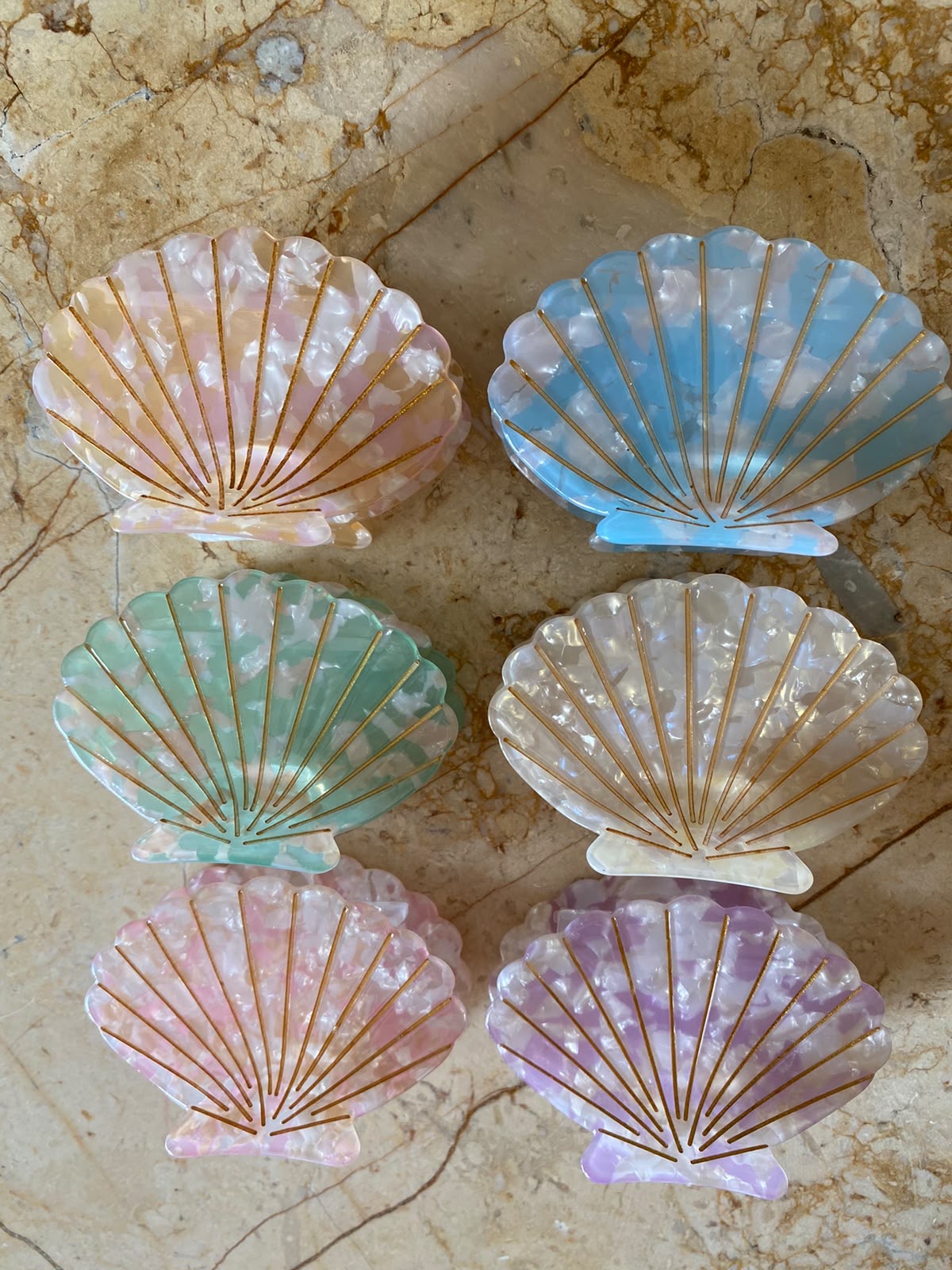 Tulip Shell