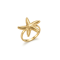 StarFish