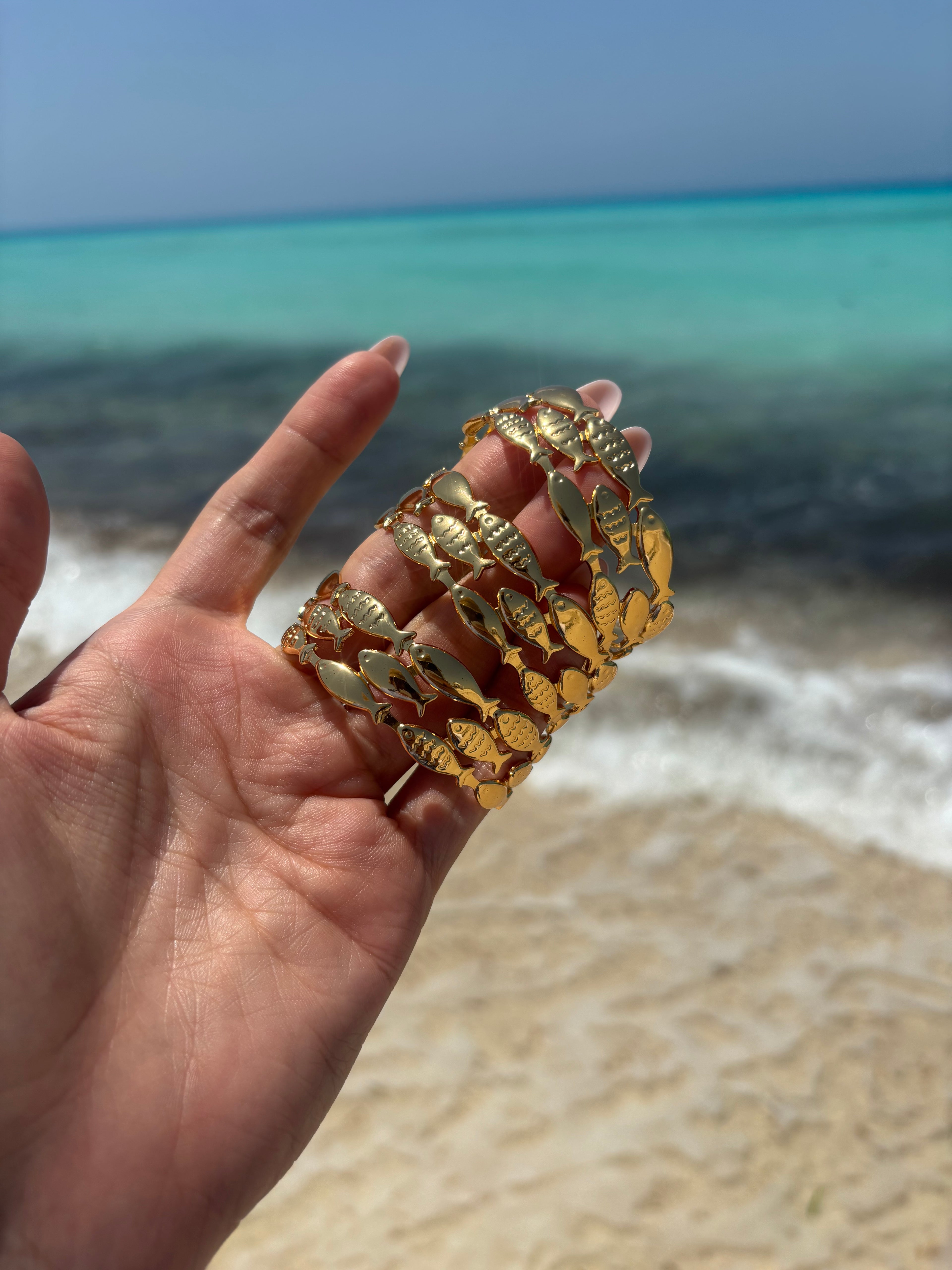 mini sardines