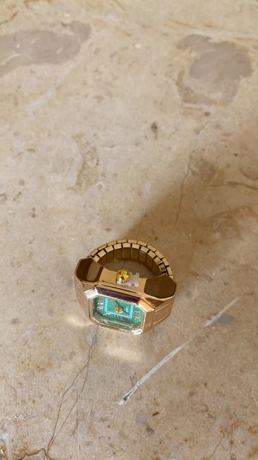 THE WATCH RING