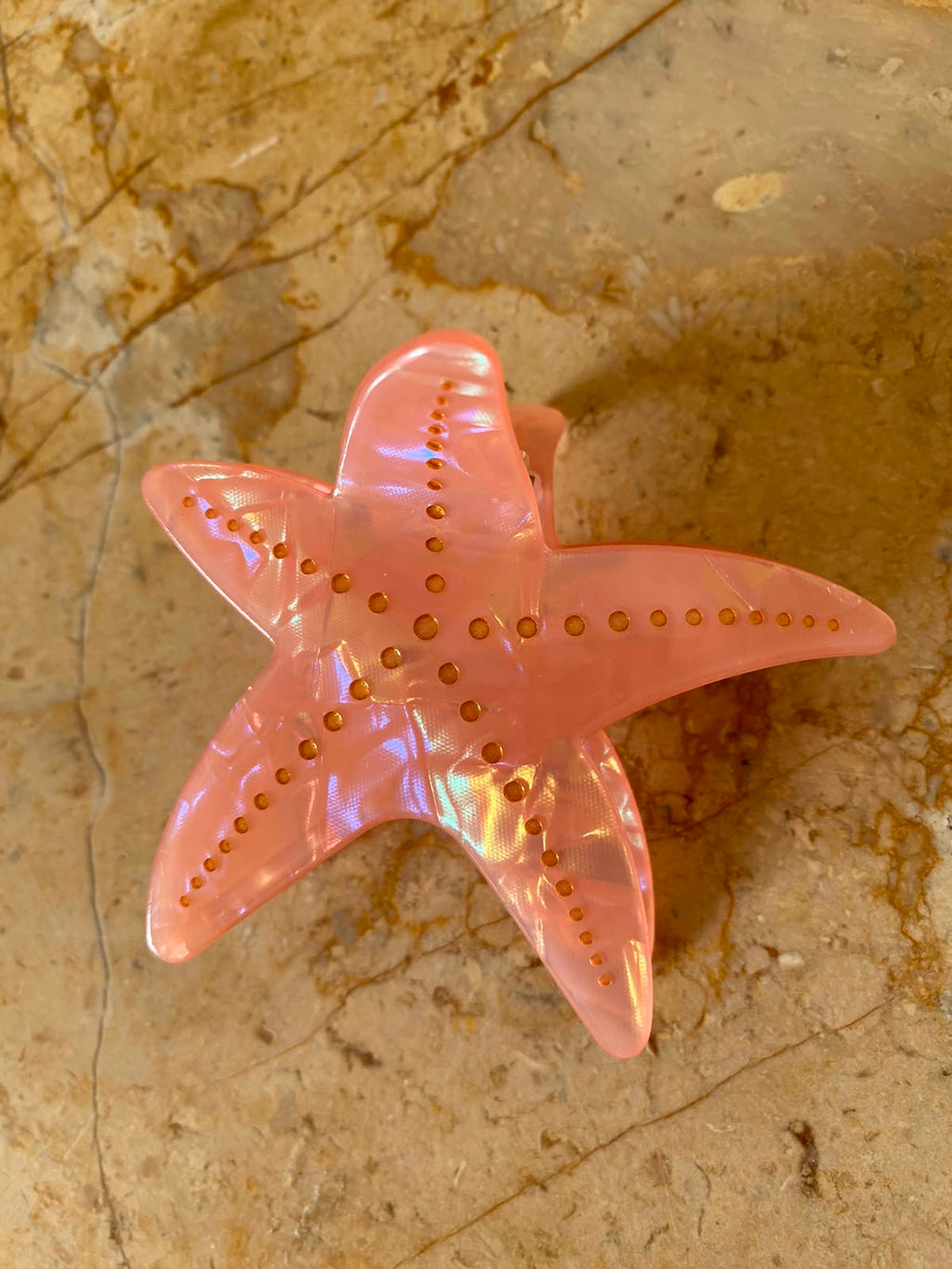 CORAL SHELL
