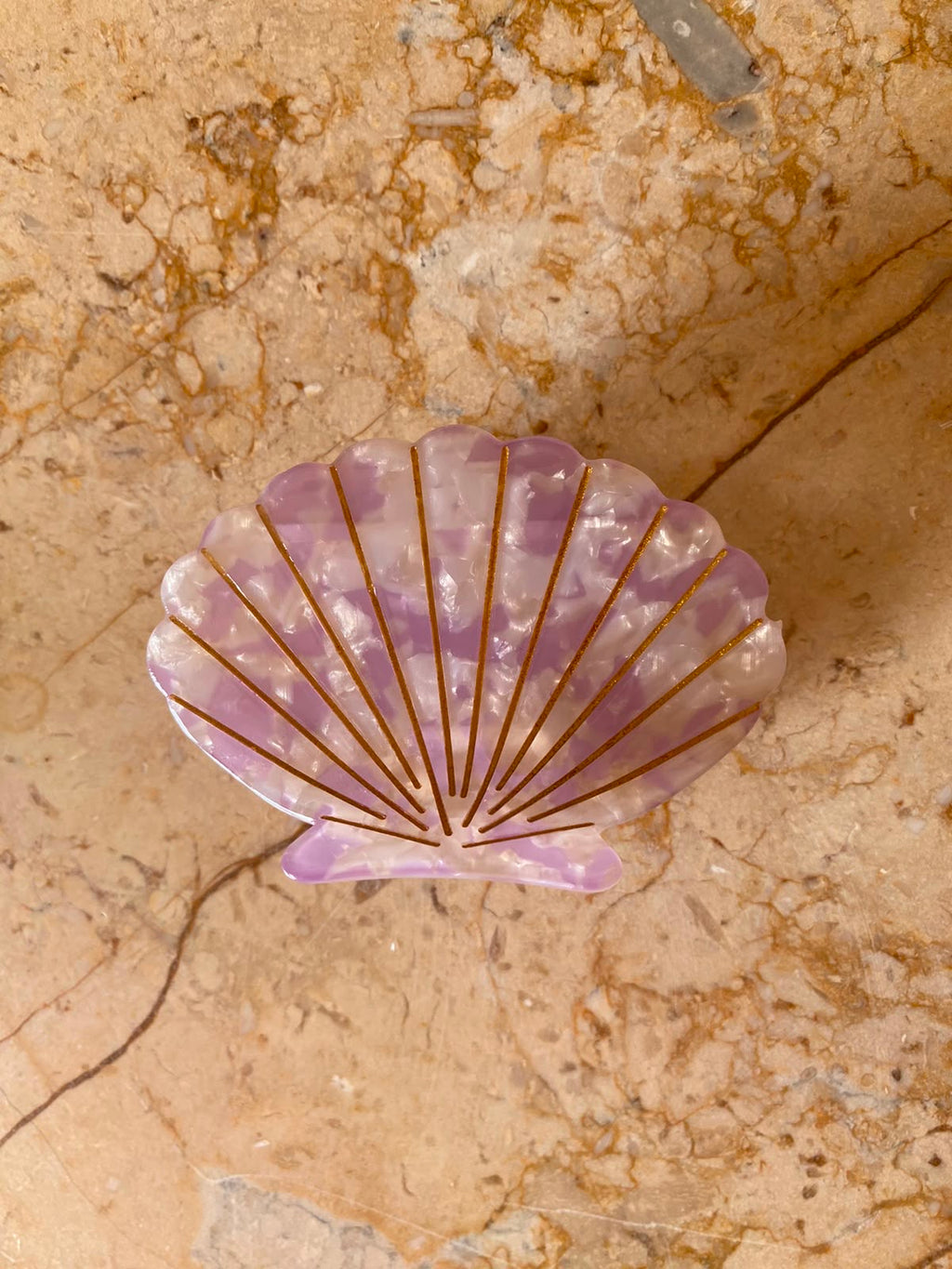 Tulip Shell