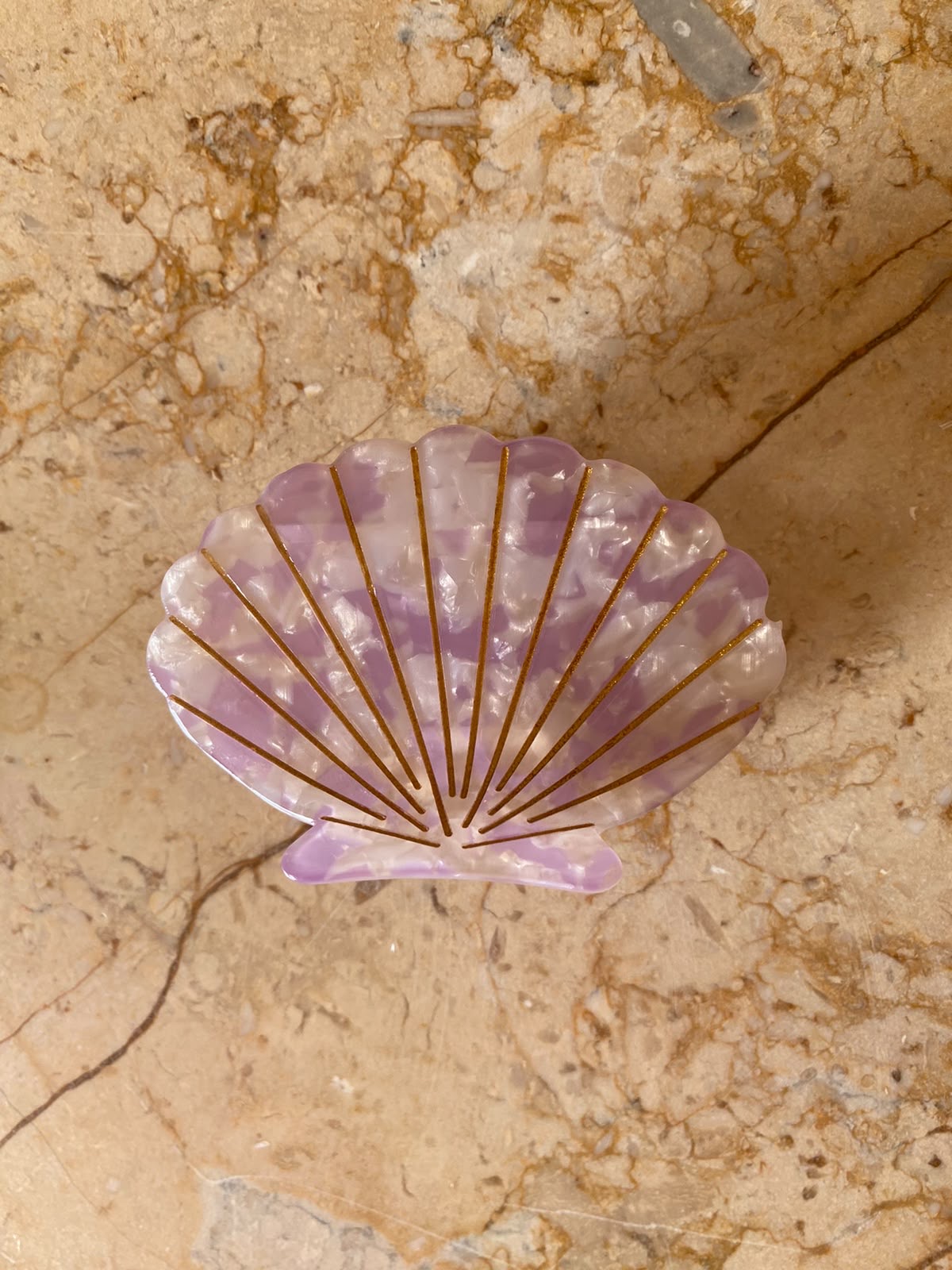 Tulip Shell