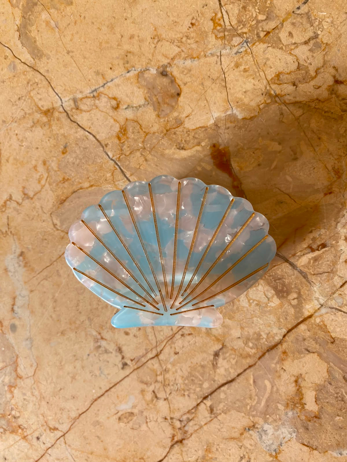 Tulip Shell