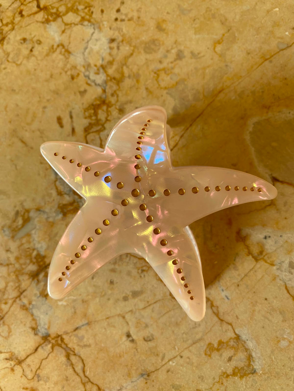 CORAL SHELL