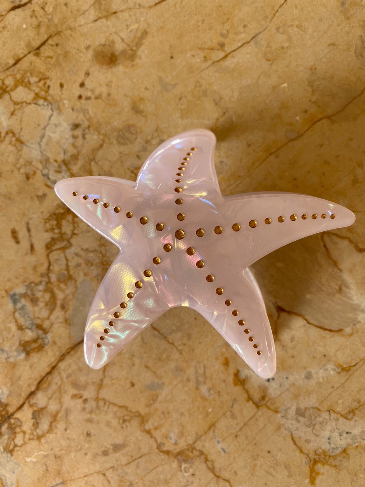 CORAL SHELL