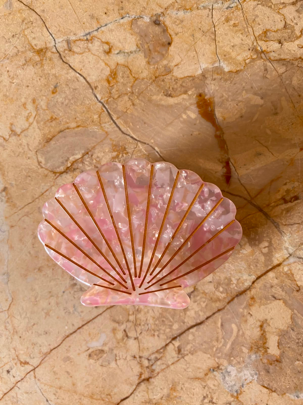 Tulip Shell
