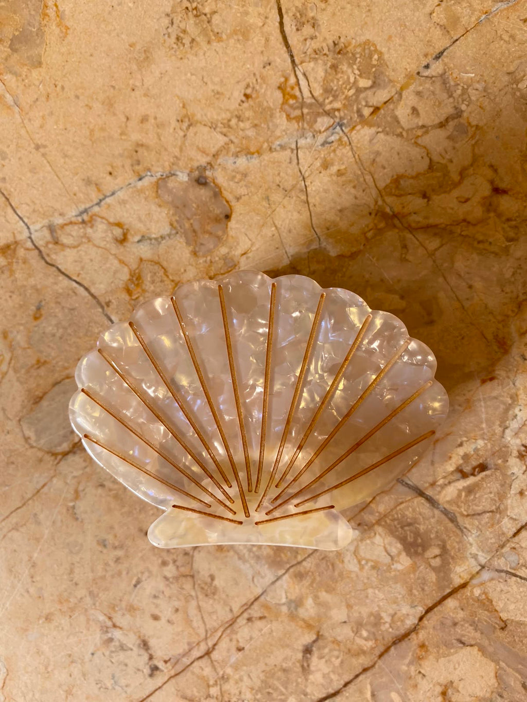 Tulip Shell