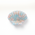 Tulip Shell