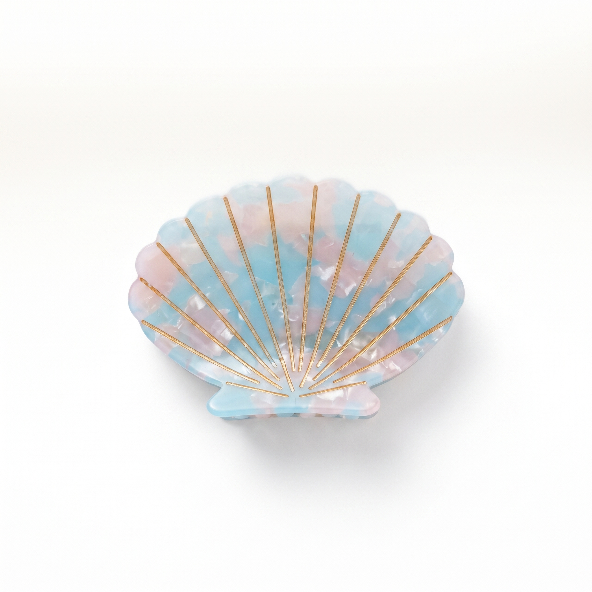Tulip Shell