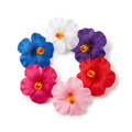 lilypad